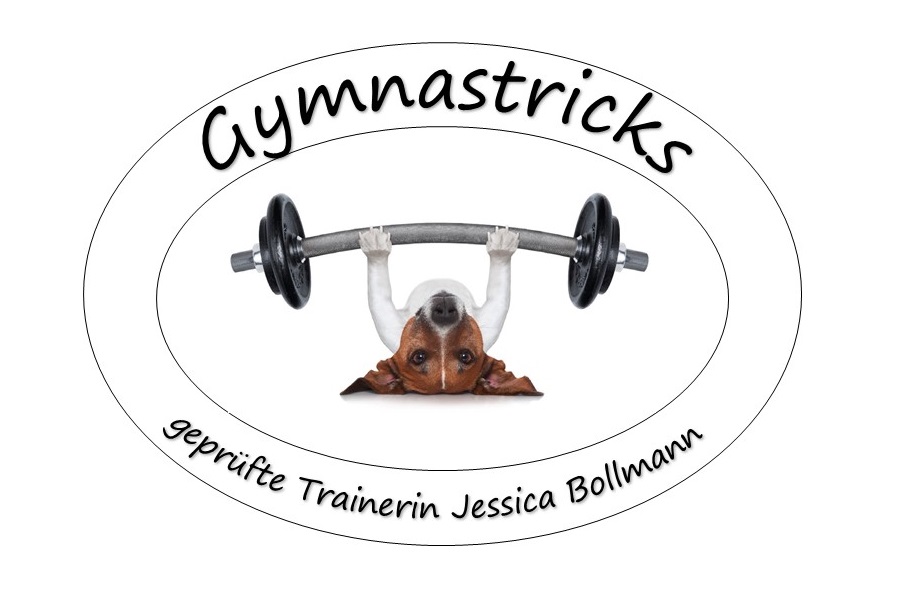 Gymnastricks